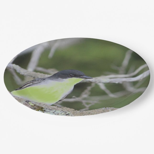 Prato De Papel Com Pássaro Pequeno Em Verdes (Inclinado)