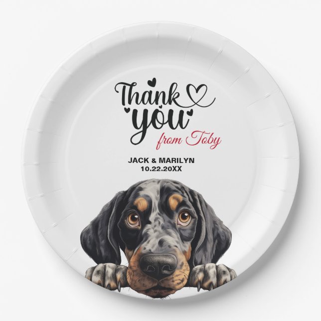 Prato De Papel Coonhound Bluetick (Frente)