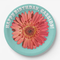 Coral Colorido Gerbera Daisy Photo Mint Green