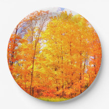 Cores de outono de Árvores/Ação de Graças