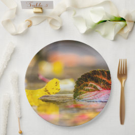 Prato De Papel Cores de queda