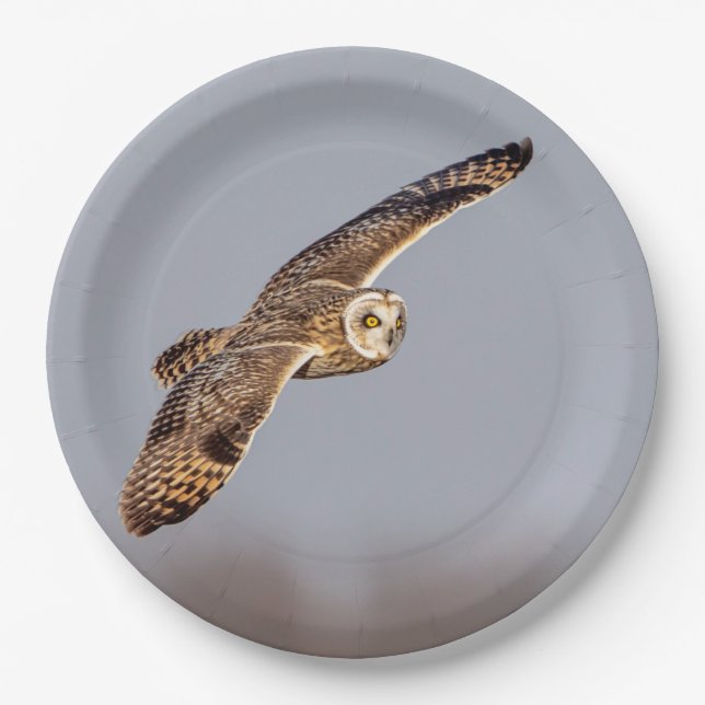 Prato De Papel Coruja-de-orelha-curta no Shawangunk Grasslands (Frente)