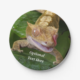 Prato De Papel Crested Gecko