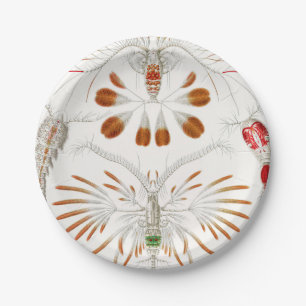 Prato De Papel Crustáceos da Vida Marinha, Copepoda por Ernst Hae