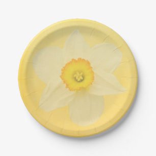 Prato De Papel Daffodil amarelo