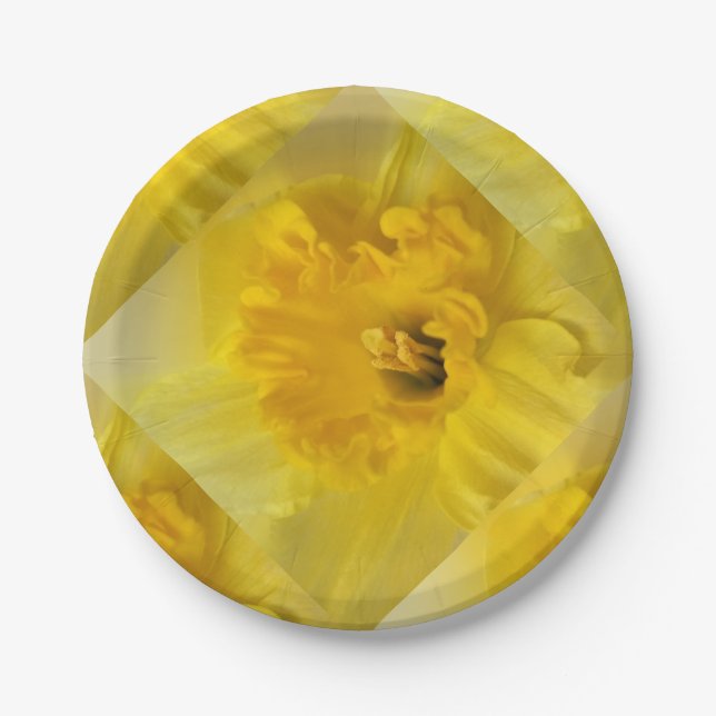 Prato De Papel daffodilo amarelo (Frente)