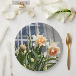 Prato De Papel Daffodils fodils fodils primavera
