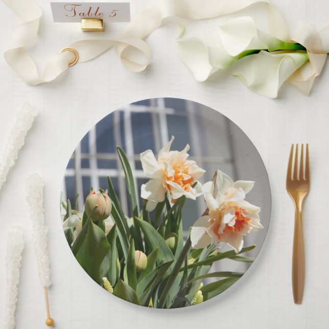 Prato De Papel Daffodils fodils fodils primavera (Casamento)