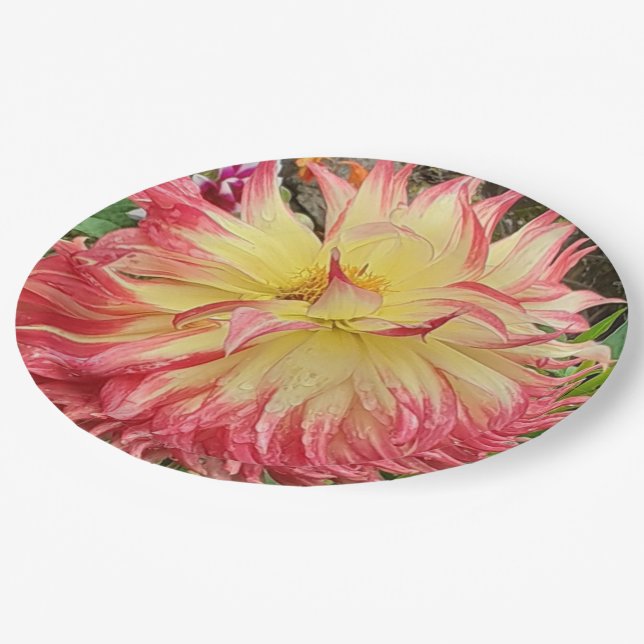 Prato De Papel Dahlia Rosa e Amarelo (Inclinado)