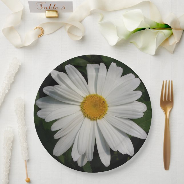 Prato De Papel Daisy Flowers Fotografia Art (Casamento)
