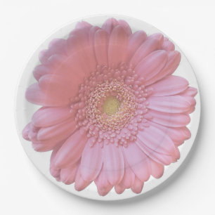 Prato De Papel Daisy gerbera rosa pálido