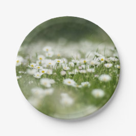 Prato De Papel Daisy Meadow