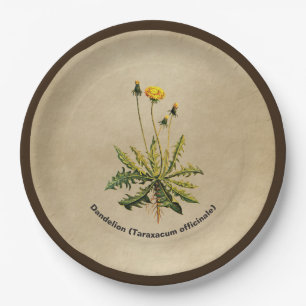 Prato De Papel Dandelion Em Papel Antigo