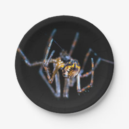 Prato de Papel de Aranha de Halloween