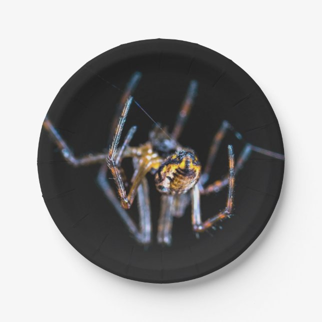 Prato de Papel de Aranha de Halloween (Frente)