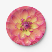 Prato de papel de flor de dália rosa coral