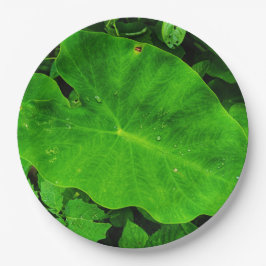 Prato de papel de natureza