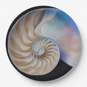 Prato De Papel Dentro O Nautilus