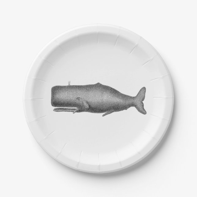 Prato De Papel Desenho de baleia do século XIX (Frente)