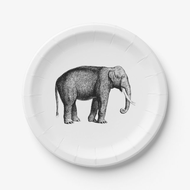 Prato De Papel Desenho de Elefante Vintage (Frente)