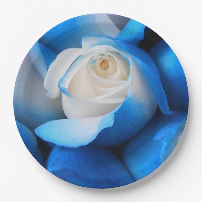 Prato De Papel Diemudina (Frente)