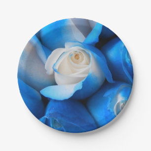 Prato De Papel Diemudis