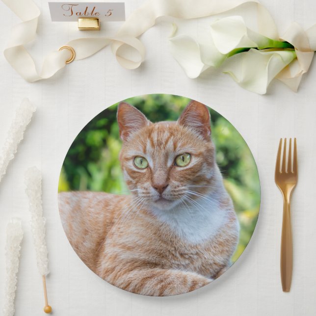 Prato De Papel Doce gatinho (Casamento)