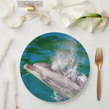 Dolphin In Milford Sound, Nova Zelândia