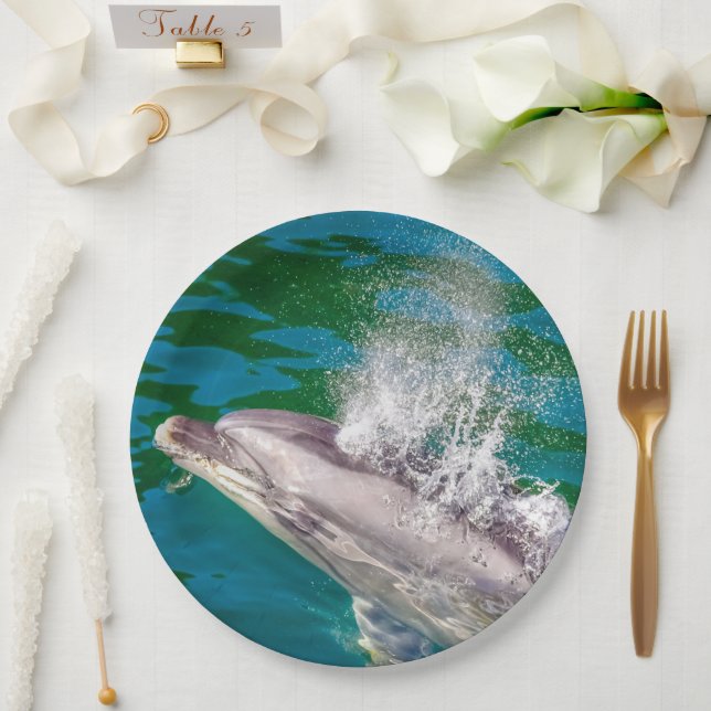 Prato De Papel Dolphin In Milford Sound, Nova Zelândia (Casamento)