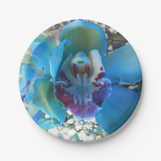 Prato De Papel Donella (Frente)