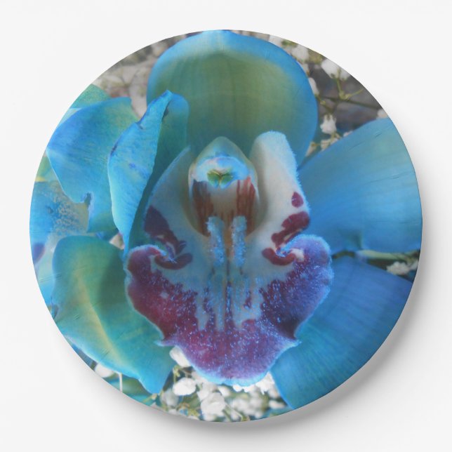 Prato De Papel Donella (Frente)