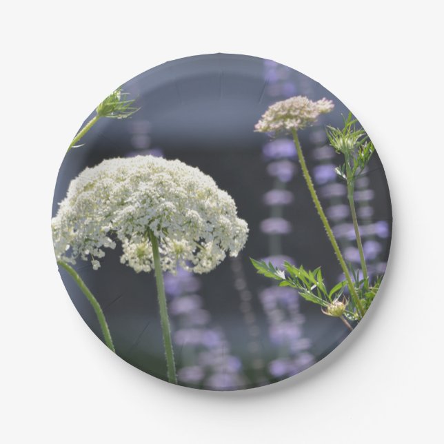 Prato De Papel Dreamy Floral Paper Plate (Frente)