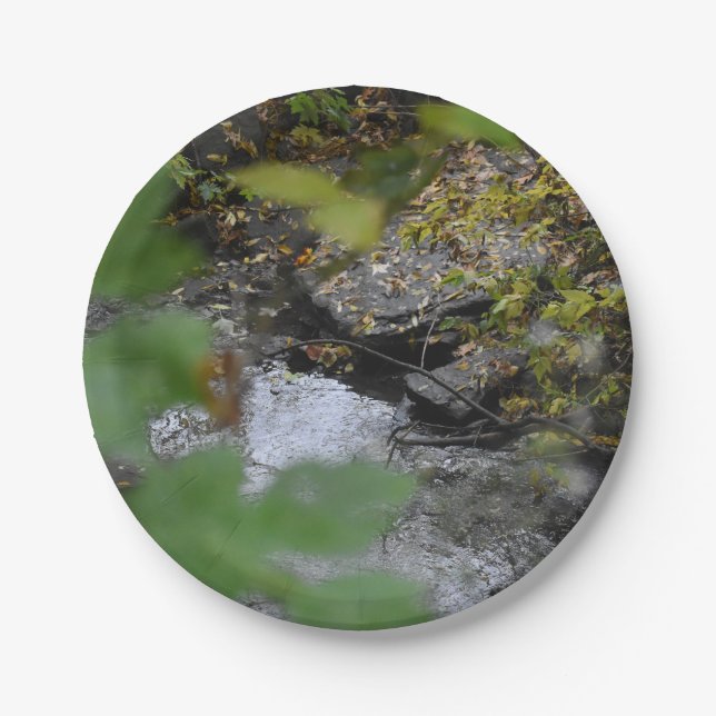 Prato De Papel Encantamentos da Terra (Frente)