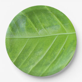 Prato De Papel Enchendo Design de folha verde redonda de 9 polega