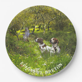 Prato De Papel Epagneul Breton, Bretanha Spaniel