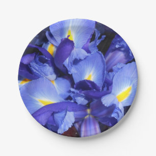 Prato De Papel Ermengarde