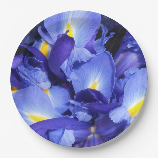 Prato De Papel Ermengarde (Frente)