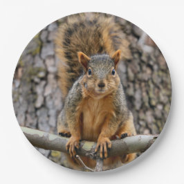 Prato De Papel Escada de raposa