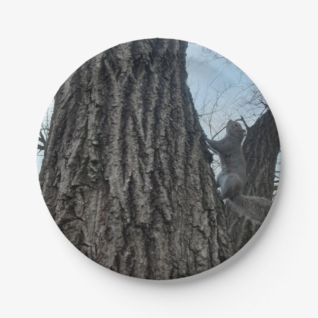 Prato De Papel Esquilo (Frente)