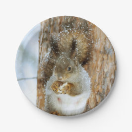Prato De Papel Esquilo bonito numa paisagem de inverno