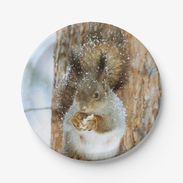 Prato De Papel Esquilo bonito numa paisagem de inverno (Frente)