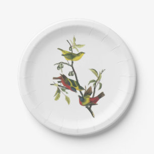 Prato De Papel Estamenha pintada por Audubon