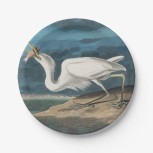 Prato De Papel Excelente White Heron Audubon Bird Willife Paintin