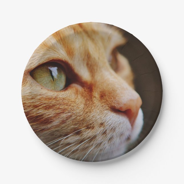 Prato De Papel Face determinada de um gengibre (Frente)