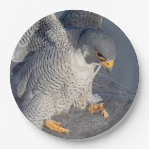 Prato De Papel Falcão Peregrine ao longo do rio Hudson