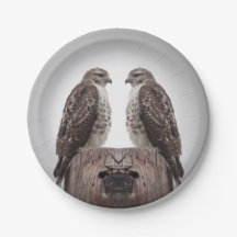 Falcões em um cargo