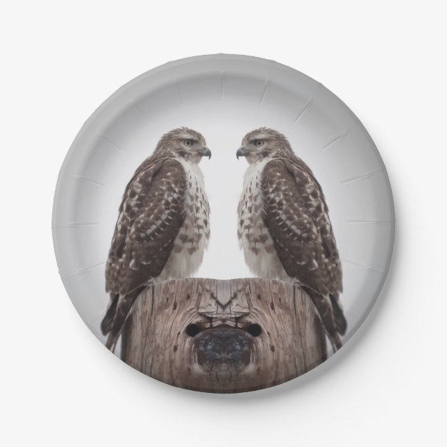 Prato De Papel Falcões em um cargo (Frente)