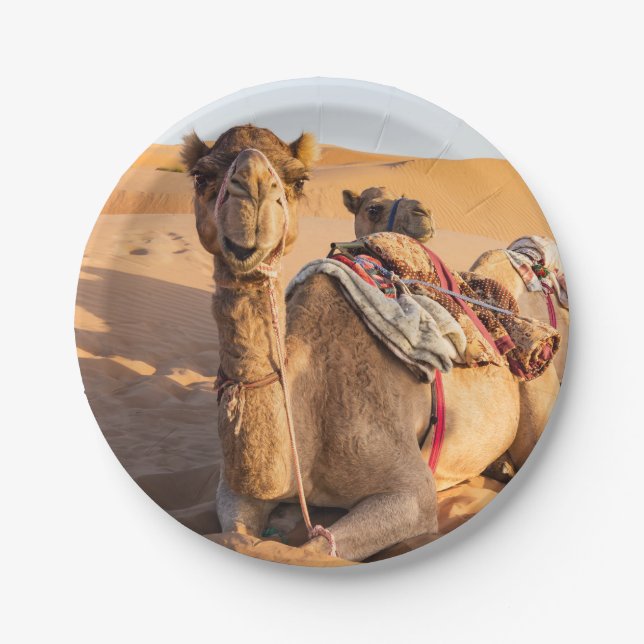 Prato De Papel Fechamento de Camel no deserto de Oman (Frente)