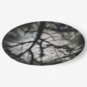 Prato De Papel Fechando em