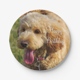 Prato De Papel Feliz Aniversário Cão de Goldendoodle